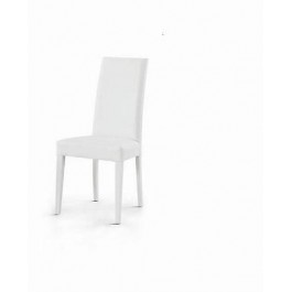 2 PIECES STUHL ARMCHAIR HALL KÜCHE ECO SKIN WEISS Superförderung