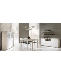 MODERN ROOM