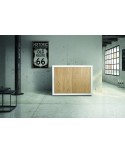 BASE 110x45 H. 85 SMONTATA