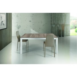 TAVOLO 160x90 2 ALL.43 AL CENTRO