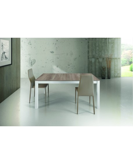 TAVOLO 160x90 2 ALL.43 AL CENTRO