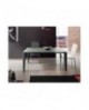 Tavolo vetro grigio   160x90 2 all. cm.50