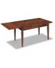 TAVOLO RETT. ALL. MOD. STELLA CON 2 ALL. DA 40 170X90 GAMBA SCIABOLA