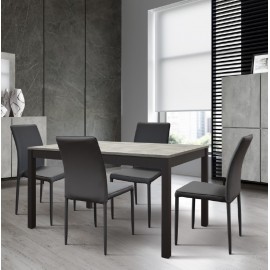 Tavolo allungabile 120x80 con 1 all. cm. 50 base metallo piano finitura grigio cemento