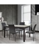 Tavolo allungabile 140x80 con 1 all. cm. 60 base metallo piano finitura grigio cemento