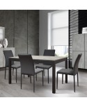 Tavolo allungabile 140x80 con 1 all. cm. 60 base metallo piano finitura grigio cemento