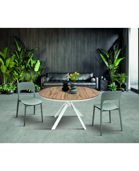 TAVOLO  DIAM. 120 1 ALL. 50 BASE BIANCA