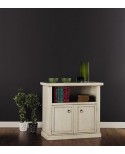 MOBILE TV CABINET DOOR 2 DOOR PAINTED IVORY ANTIQUE